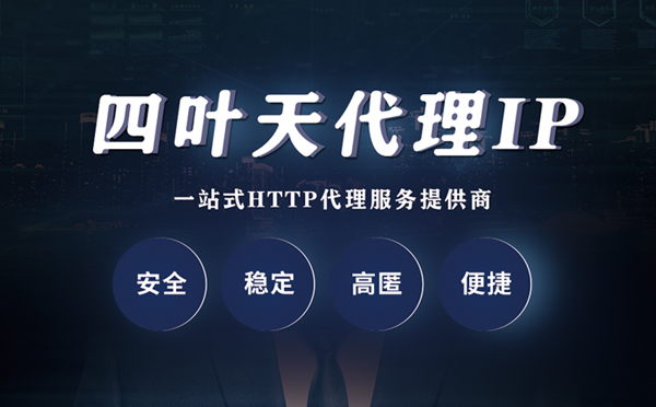 【安庆代理IP】代理ip客户端使用教程